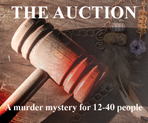 The Auction banner 300x250